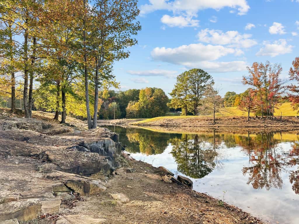 Stellar Realty Group