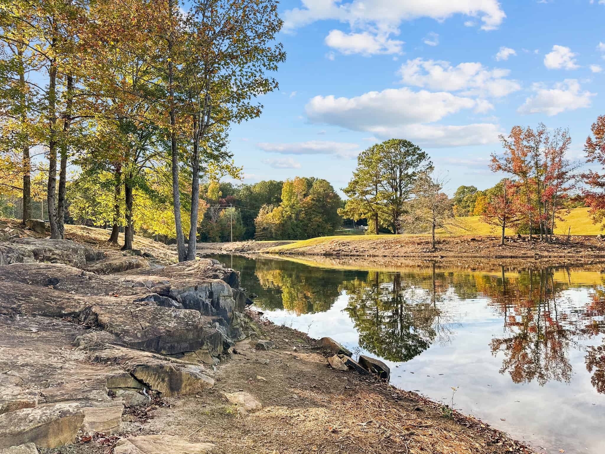 Stellar Realty Group